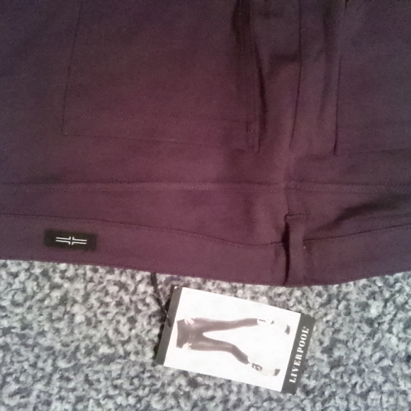 NWT! LIVERPOOL JEANS COMPANY JACQUELINE SKINNY PANT DARK PURPLE SIZE 16/33 - Picture 7 of 14